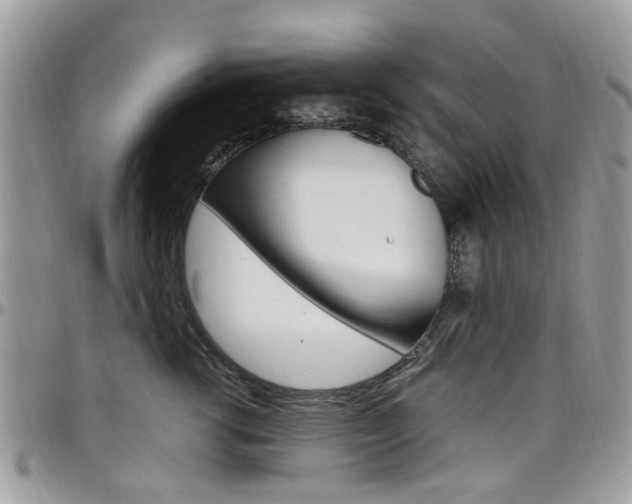 X0000097980762200803241042