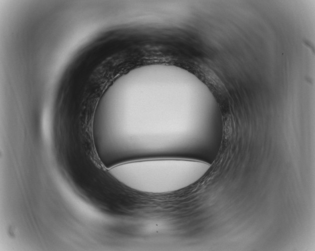 X0000097980764200803241042