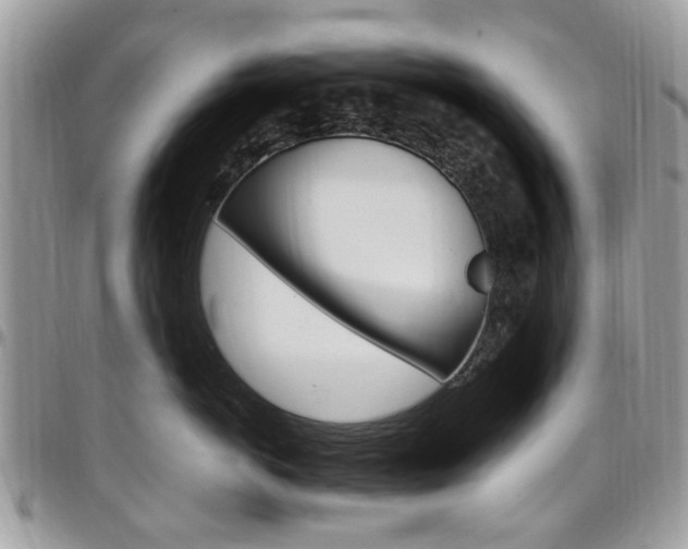 X0000097980766200803241042