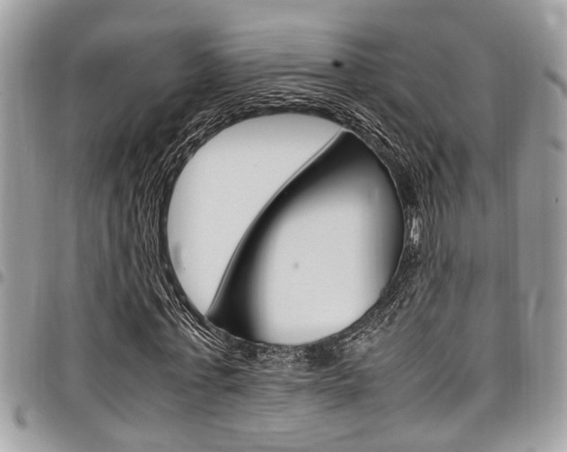 X0000097980771200803241041