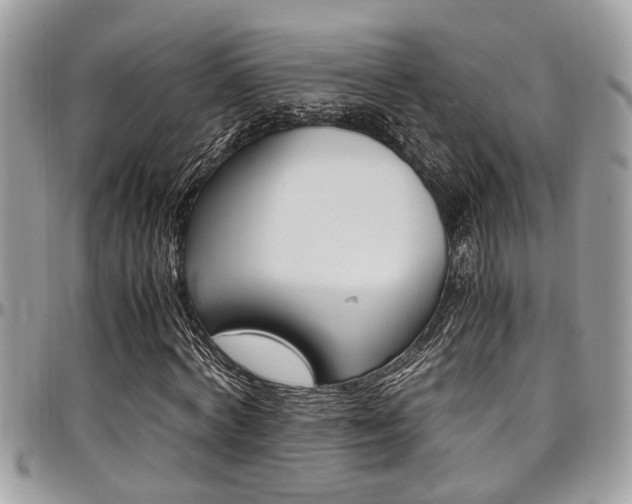 X0000097980772200803241041