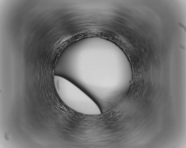 X0000097980773200803241041