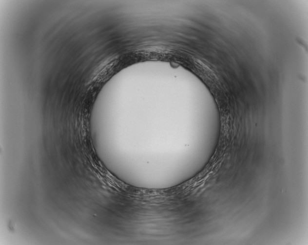 X0000097980774200803241041