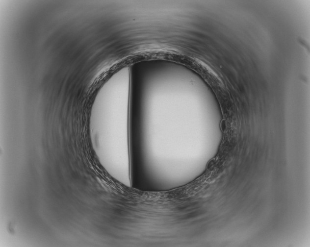 X0000097980775200803241041