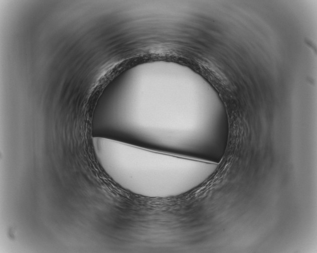 X0000097980776200803241041