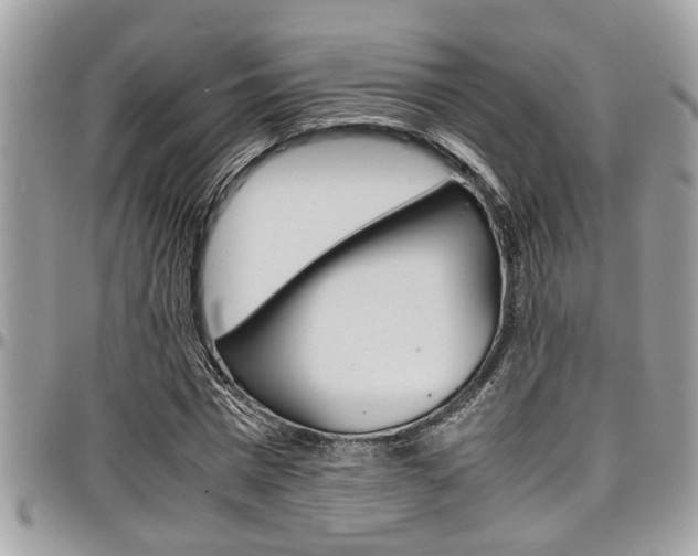 X0000097980777200803241041