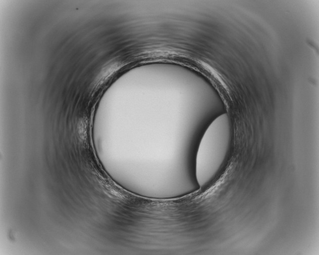 X0000097980778200803241041