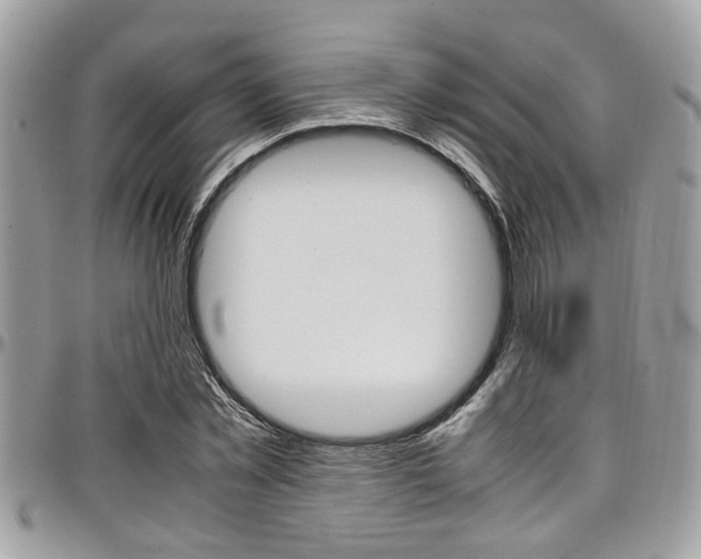 X0000097980781200803241041