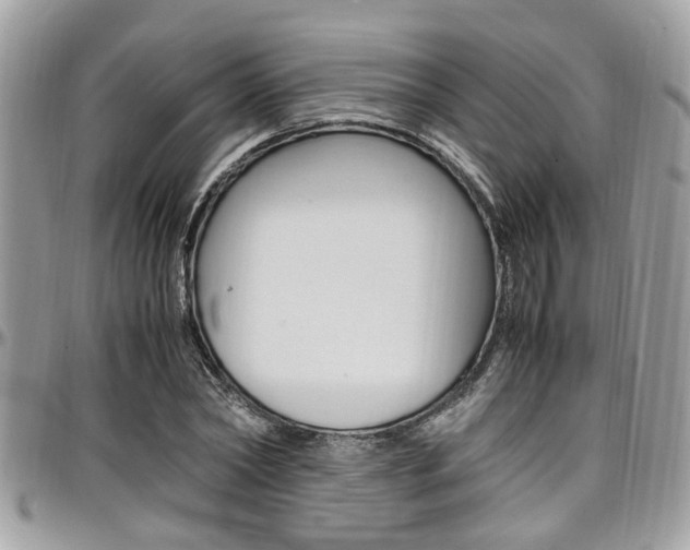 X0000097980782200803241041