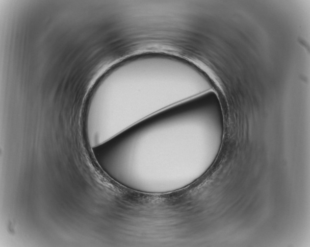 X0000097980783200803241041
