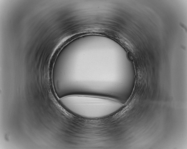 X0000097980784200803241041