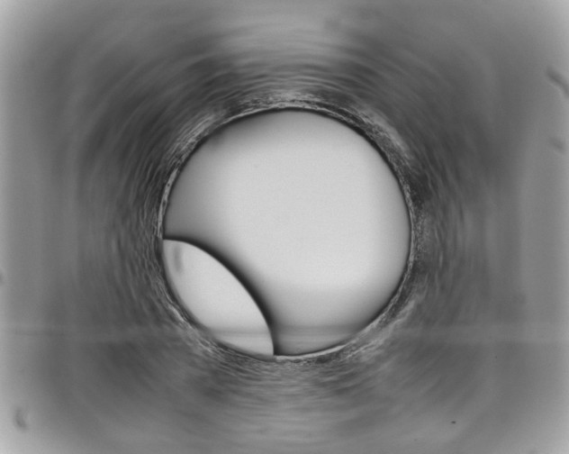 X0000097980785200803241041