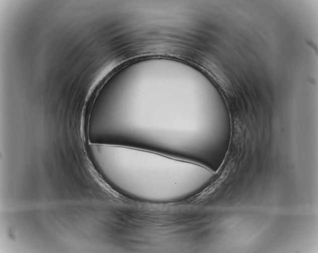 X0000097980788200803241041