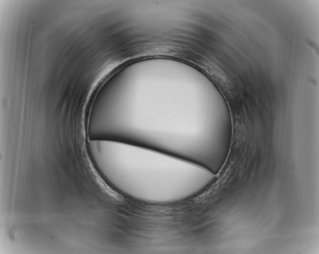 X0000097980792200803241041