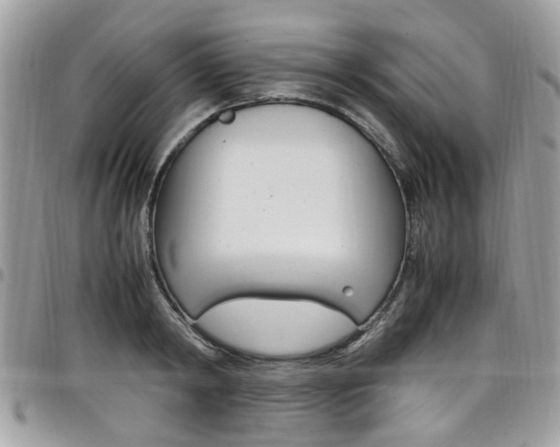 X0000097980798200803241041