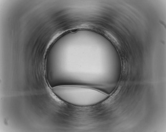 X0000097980800200803241041
