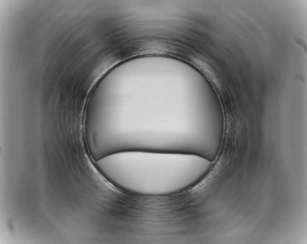 X0000097980802200803241041