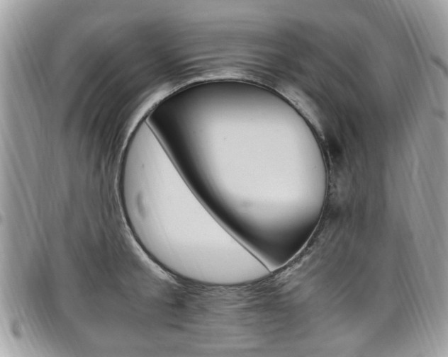 X0000097980805200803241041