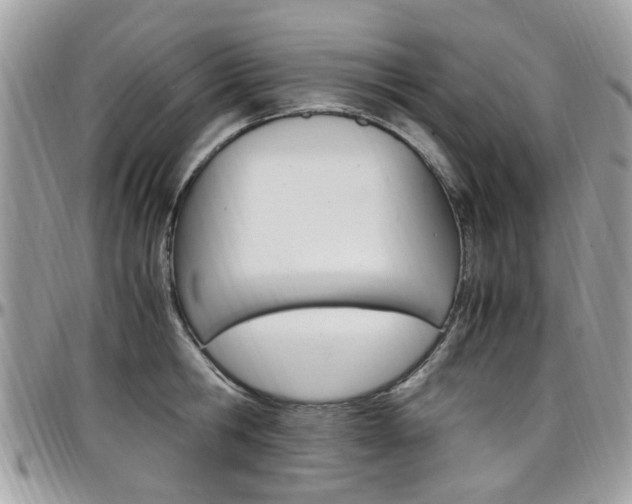 X0000097980806200803241041