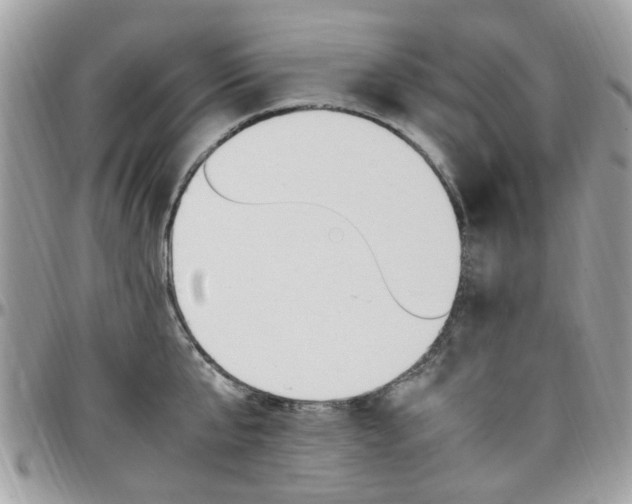 X0000097980807200803241041