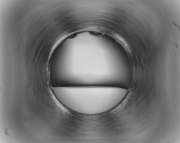 X0000097980808200803241041