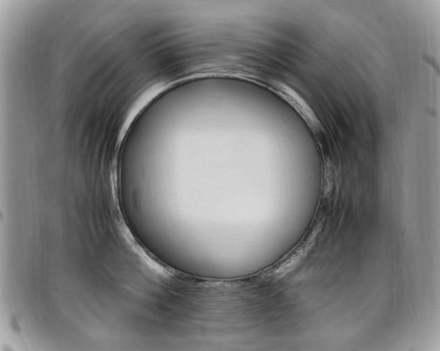 X0000097980812200803241041