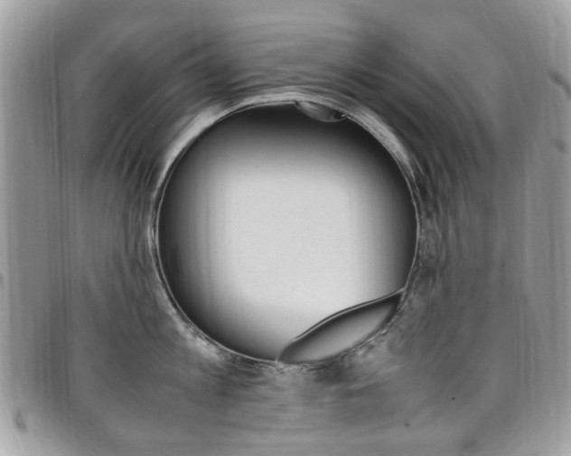 X0000097980813200803241041