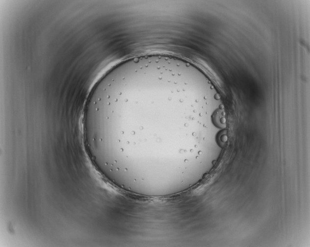 X0000097980814200803241041
