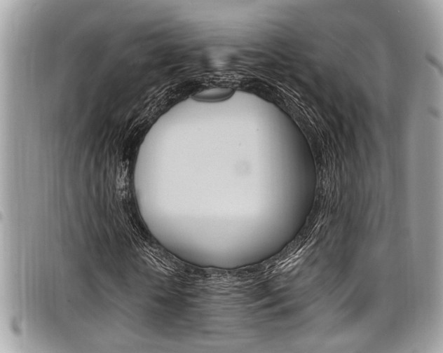 X0000097980818200803241040