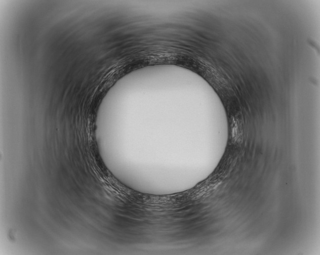 X0000097980819200803241040
