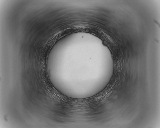 X0000097980821200803241040