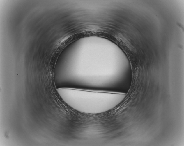 X0000097980822200803241040