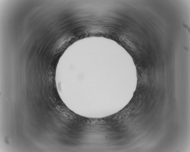 X0000097980824200803241040