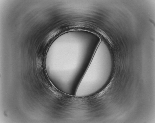 X0000097980826200803241040