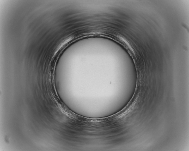X0000097980827200803241040