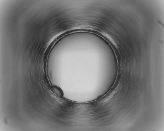 X0000097980830200803241040