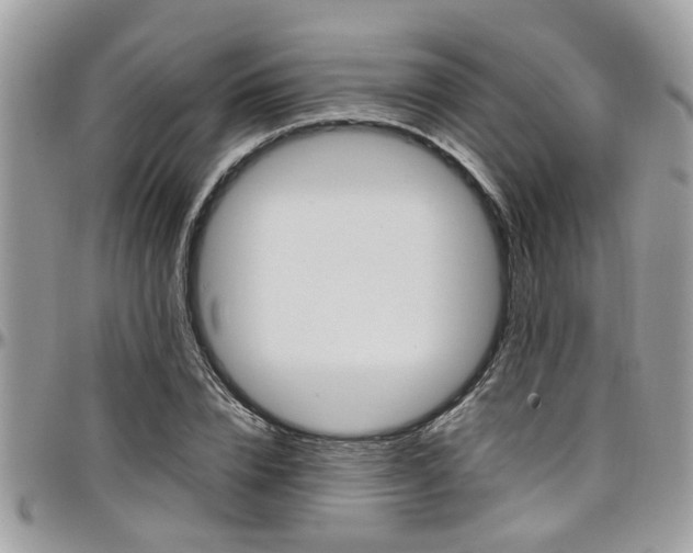 X0000097980832200803241040
