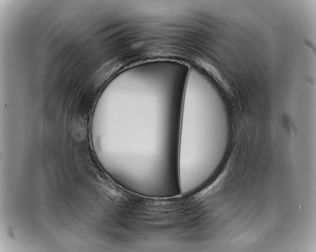 X0000097980833200803241040