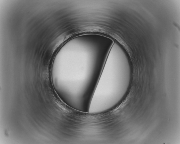 X0000097980834200803241040