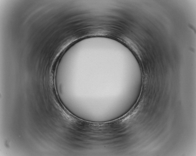 X0000097980835200803241040