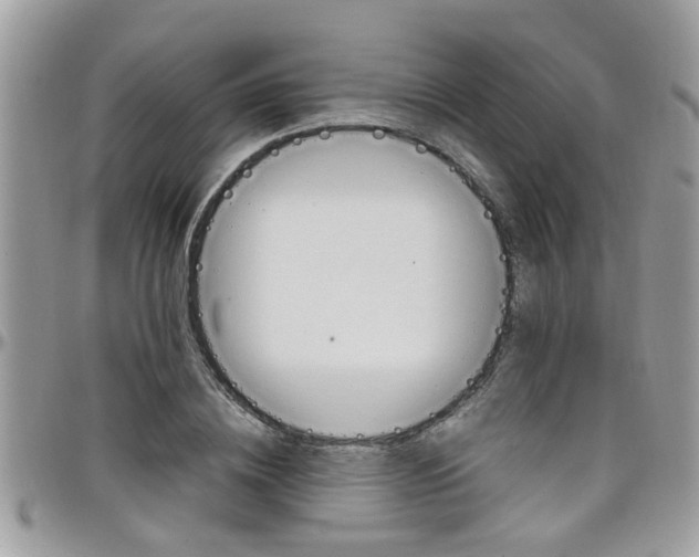 X0000097980836200803241040