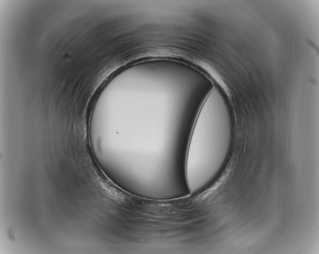 X0000097980837200803241040