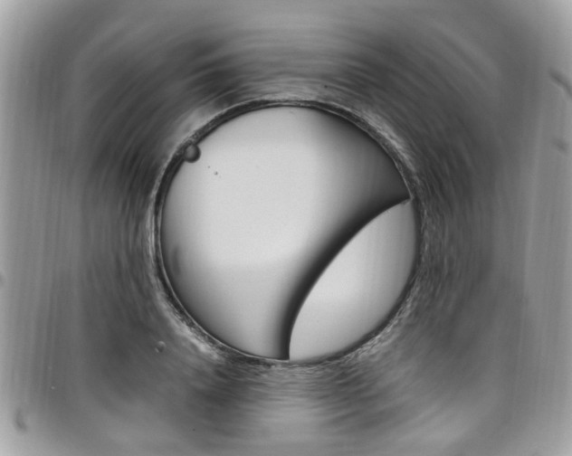 X0000097980840200803241040
