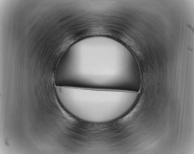 X0000097980841200803241040