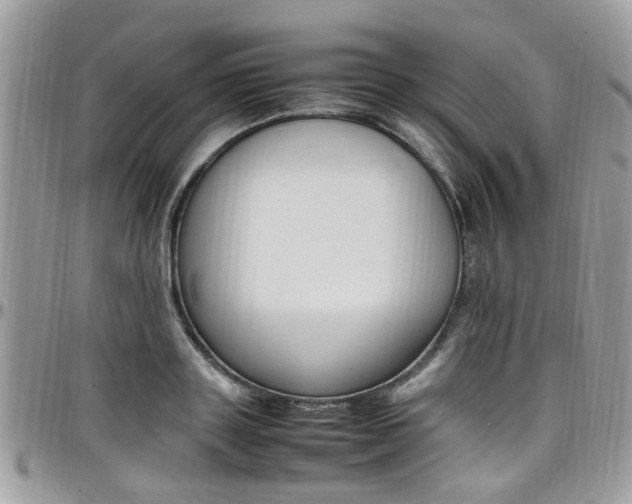 X0000097980843200803241040