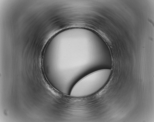 X0000097980846200803241040