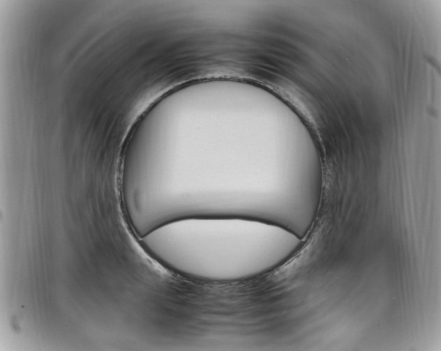 X0000097980847200803241040