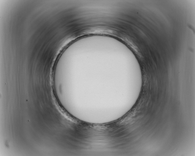 X0000097980848200803241040
