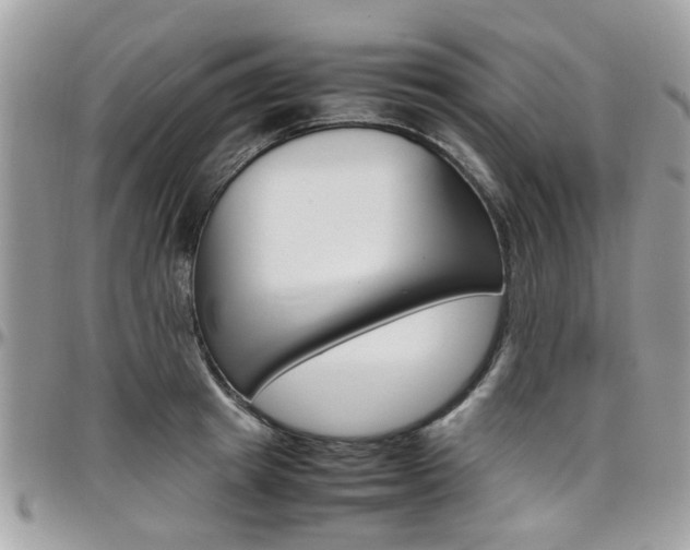 X0000097980849200803241040