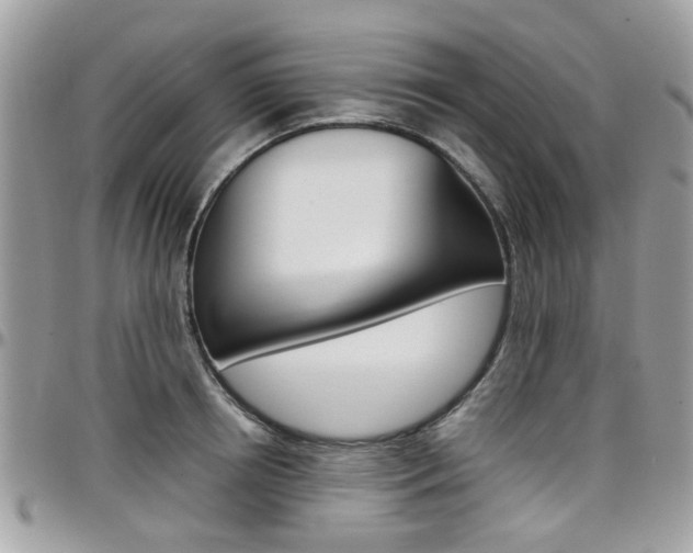 X0000097980850200803241040
